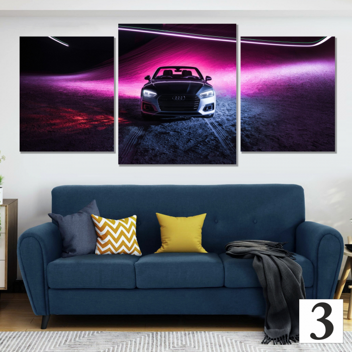 Tablou Audi [3]