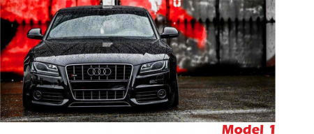 Cana AUDI [1]