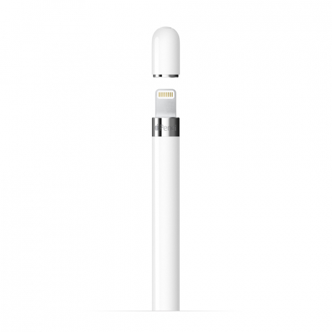 Apple PENCIL With type-C adapter [1]