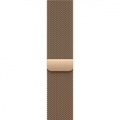 Смарт часы Apple Watch Series 10 GPS+LTE 46mm MC7T4 Gold Titanium Case with Gold Milanese Loop, S/M [2]