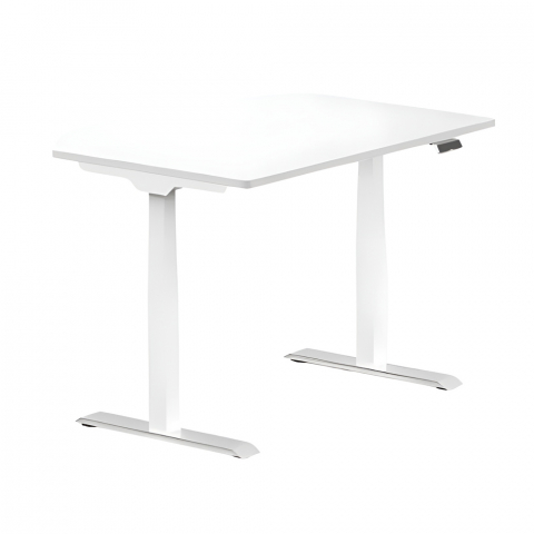 Mese - Flexispot Adjustable Desk ET223, White (2 Motors, Capacity:125kg,Height Adj:58cm-123cm,Desk Top Width:110cm-180cm, Speed:32mm/s),(Without Table Top)