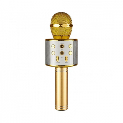 Microfoane - Helmet HANDHELD KTV Portable Karaoke-Speaker Microphone, Gold