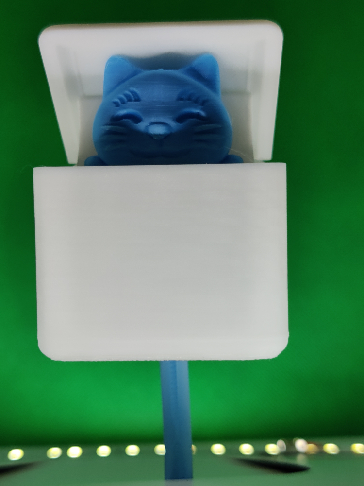 Suport pentru Chei Pisicuță [3]