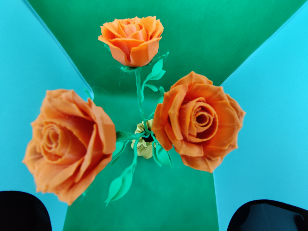 Buchet de Trandafiri 3D Imprimat + Vaza [3]