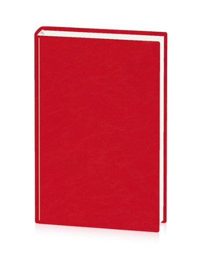 Agenda A5 nedatata,DOMINO [1]