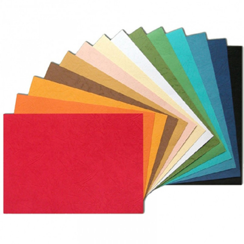 Echipamente pentru birou si accesorii  - Coperti indosariere din carton A4, 250 g, imitatie piele