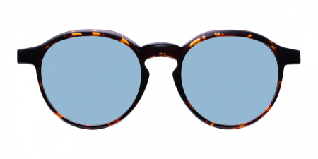 RAME OCHELARI DE VEDERE CU CLIP-ON - RAMA OCHELARI CLIP-ON H1N1 TRCA231