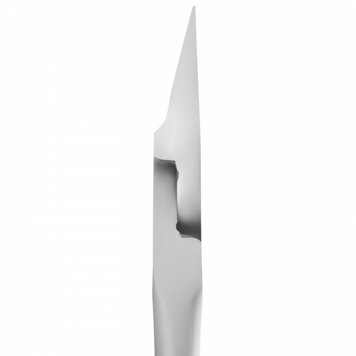 Cleste profesional pentru unghii incarnate Staleks Expert 61 16 mm, NE-61-16 [4]