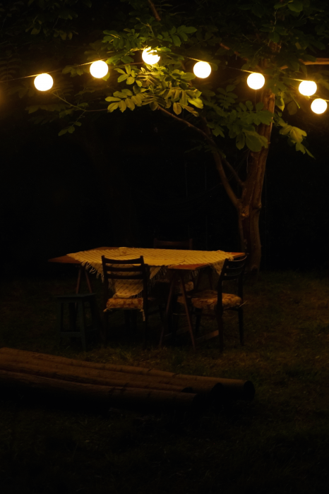 Workshop herbal dyes [2]