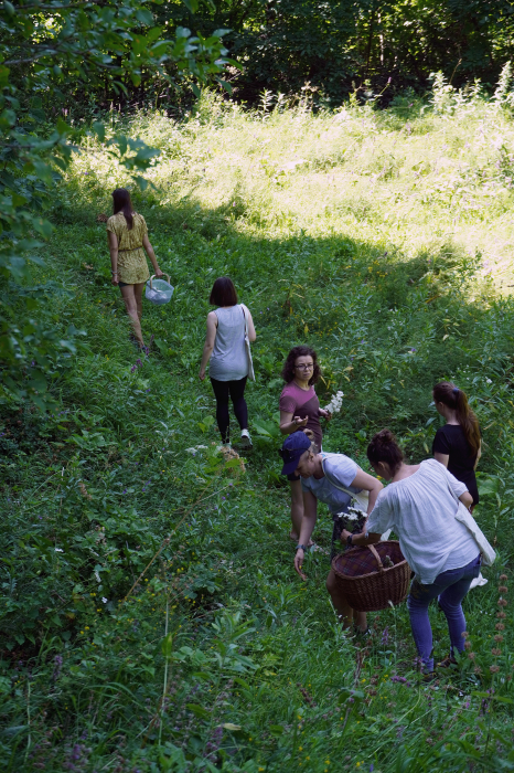 Workshop herbal dyes [3]