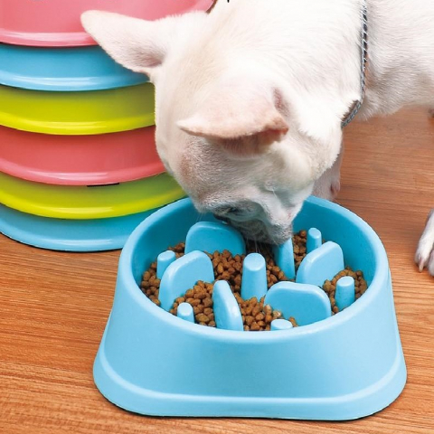 Pet Shop - https://export.avex.ro/wp-content/uploads/2024/06/product-image-501028647_1024x1024-1.jpg;https://export.avex.ro/wp-content/uploads/2024/06/posodaza-pocasno-hranjenje-1.jpg;https://export.avex.ro/wp-content/uploads/2024/06/KX727059499-1.jpg;https://export.avex.ro/wp-content/uploads/2024/06/KX727059501-1.jpg;https://export.avex.ro/wp-content/uploads/2024/06/KX727059500-1.jpg;https://export.avex.ro/wp-content/uploads/2024/06/KX727059498-1.jpg