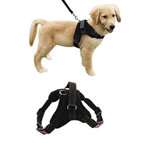 Pet Shop - https://export.avex.ro/wp-content/uploads/2024/06/61NN13gae-L._AC_SL1500_-2.jpg;https://export.avex.ro/wp-content/uploads/2024/06/KX562577848_ef6z-6m_t2l4-x7_h61v-90_ofef-qf-2.jpg;https://export.avex.ro/wp-content/uploads/2024/06/KX562577844_fx2h-ca_hf46-8x_aszi-7s_mqau-et-2.jpg;https://export.avex.ro/wp-content/uploads/2024/06/KX562577845_3ekc-ea_cbi5-9r_flbl-jg_o78v-ns-2.jpg;https://export.avex.ro/wp-content/uploads/2024/06/KX562577846_rjhk-s9_41yn-wj_0pjs-83_gr1z-4y-2.jpg;https://export.avex.ro/wp-content/uploads/2024/06/KX562577847_wlmv-zt_a1wf-dz_dywb-62_zwrt-0h-2.jpg