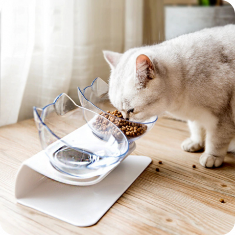 Pet Shop - https://export.avex.ro/wp-content/uploads/2024/06/Untitled_design_40_1400x-1.png;https://export.avex.ro/wp-content/uploads/2024/06/6163911170-1.jpg;https://export.avex.ro/wp-content/uploads/2024/06/AG684B_ag684b_06-1.jpg;https://export.avex.ro/wp-content/uploads/2024/06/AG684B_ag684b_02.jpg;https://export.avex.ro/wp-content/uploads/2024/06/AG684B_ag684b_03.jpg;https://export.avex.ro/wp-content/uploads/2024/06/AG684B_ag684b_04.jpg;https://export.avex.ro/wp-content/uploads/2024/06/AG684B_ag684b_05.jpg