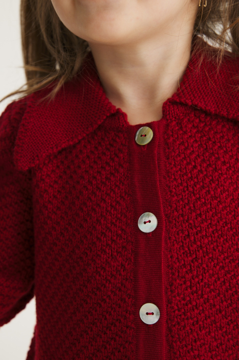 Cardigan Agy in Berry merino wool [5]