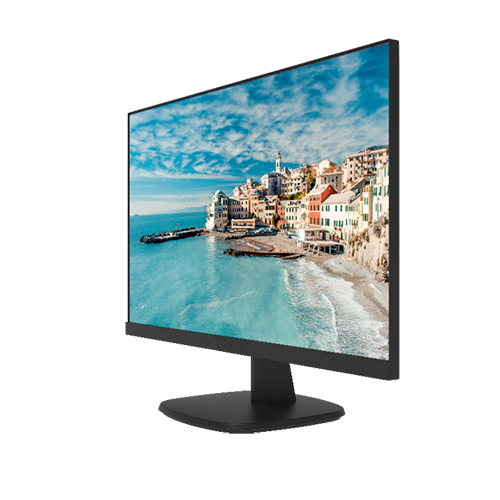 Monitor LED FullHD 27'', HDMI, VGA DS-D5027FN [2]