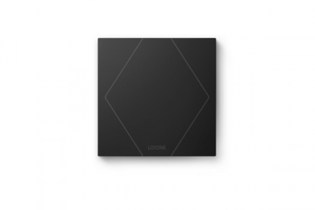 Iluminat - Întrerupător Smart Loxone Touch Pure Tree Anthracite