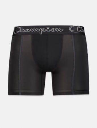 Boxeri negri Champion