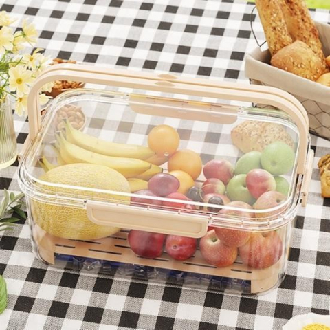 Cutie de depozitare portabila, cu separator pentru gheata si scurgere, mentine rece, caserola pranz, 25x16.5x11.5 cm, crem/transparent [5]
