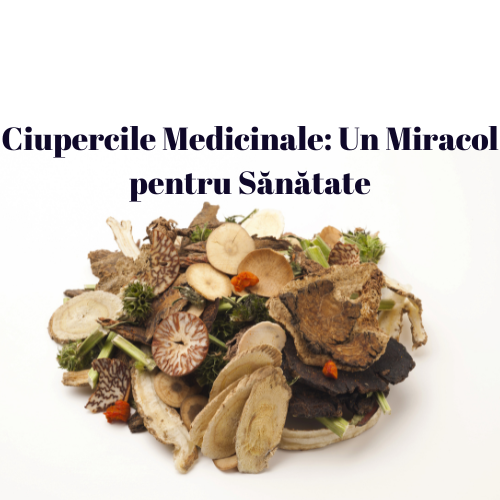 Ciupercile Medicinale: Un Miracol pentru Sănătate