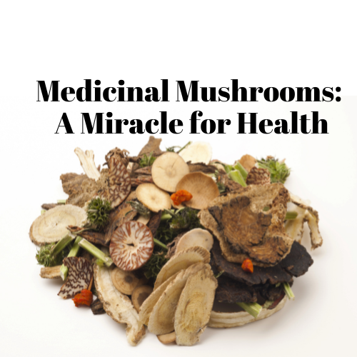Medicinal Mushrooms:  A Miracle for Health