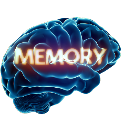 Cum să Ne Îmbunătățim Memoria