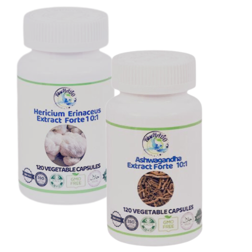 Coama Leului și Ashwagandha – Suplimente Naturale pentru Neuroprotecție și Controlul Epilepsiei [1]