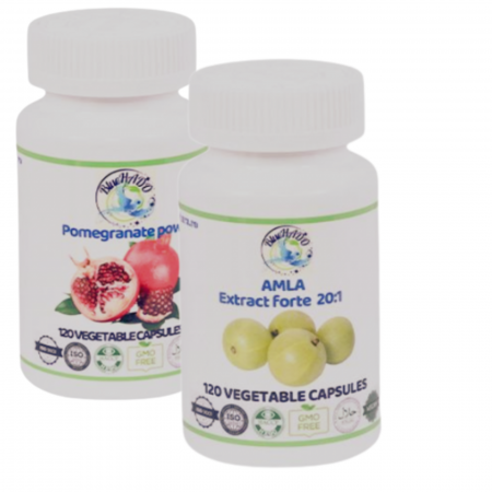 Remedii patologii sistemul digestiv - DigestGuard Plus – Suport Natural pentru Sistemul Digestiv Cu extracte concentrate de Amla și Rodie
