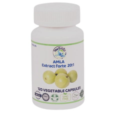 Medicinal Mushrooms and Plants - Amla Extract: Boosts immunity, improves digestion and cardiovascular health, regulates blood sugar, and supports skin and hair health.