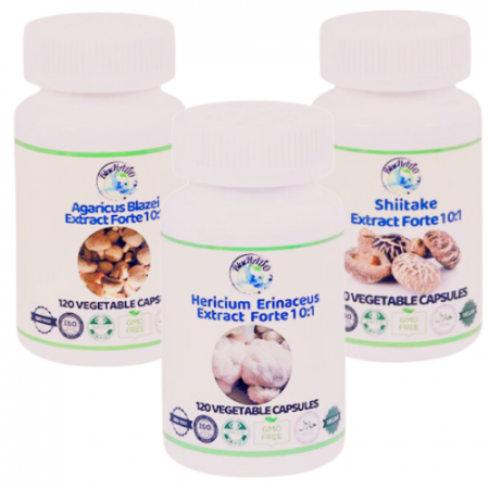 Remedii afectiuni - Supliment natural pentru Boala Crohn - Coama Leului, Agaricus și Shiitake pentru Sănătatea Digestivă