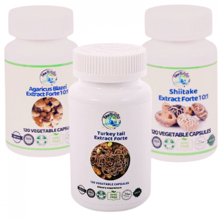 CervicalSuport Cancer de Col Uterin: 3 Ciuperci Medicinale BIO cu Extract Forte 10:1