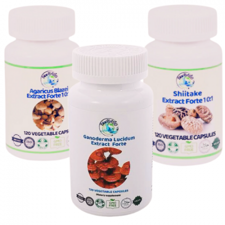 LungSupport Cancer Pulmonar: 3 Extracte  Forte din Ciuperci Medicinale Bio
