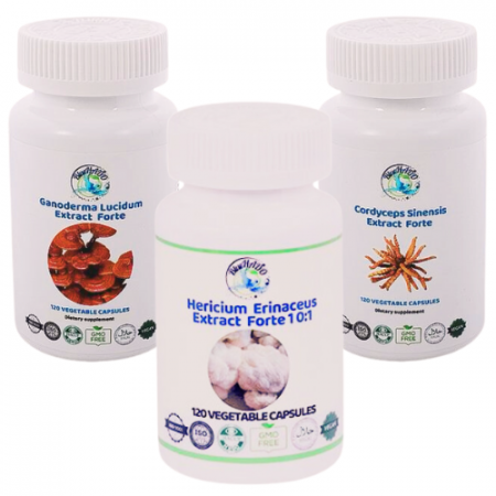 Remedii patologii sistemul limfatic - Detoxifiere Naturală cu Extracte Forte – Cordyceps, Coama Leului și Reishi