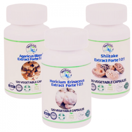 Remedii patologii sistemul muscular - Supliment pentru Distrofia Musculară - Coama Leului, Agaricus și Shiitake pentru Regenerarea Musculară