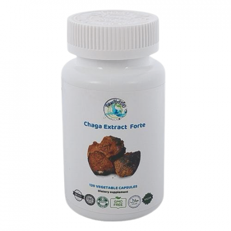Medicinal Mushrooms and Plants - Extract Forte 10:1 Therapeutic Mushroom Chaga Bio 120 Capsules
