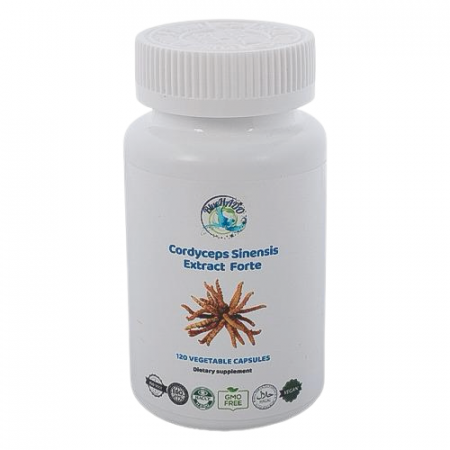 Medicinal Mushrooms and Plants - Extract Forte 10:1 Therapeutic Mushroom Cordyceps Bio - 120 capsules