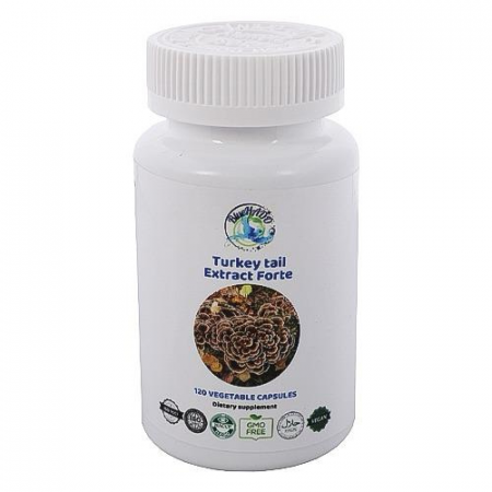 Medicinal Mushrooms and Plants - Extract Forte 10:1 Therapeutic Mushroom Coriolus Bio - 120 Capsules