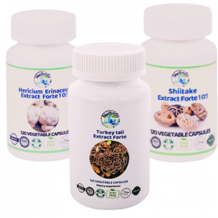 Remedii afectiuni - Supliment pentru H. pylori - Coama Leului, Coriolus și Shiitake pentru Sănătatea Gastrică