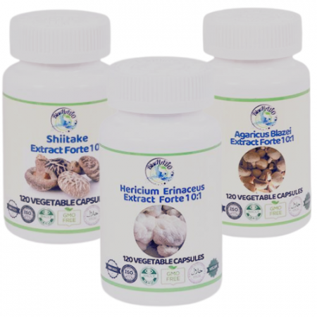 Remedii patologii sistemul limfatic - Extract Forte pentru Pancreatită - Agaricus, Shiitake și Coama Leului pentru Reducerea Inflamației și Sănătatea Pancreasului