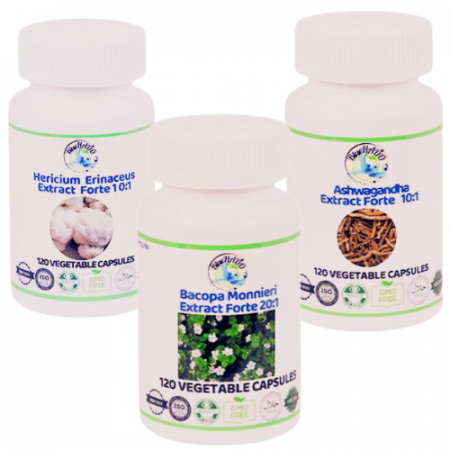 Supliment pentru Regenerarea Tecii de Mielină - Coama Leului, Agaricus și Shiitake pentru Sănătatea Neuronală [0]