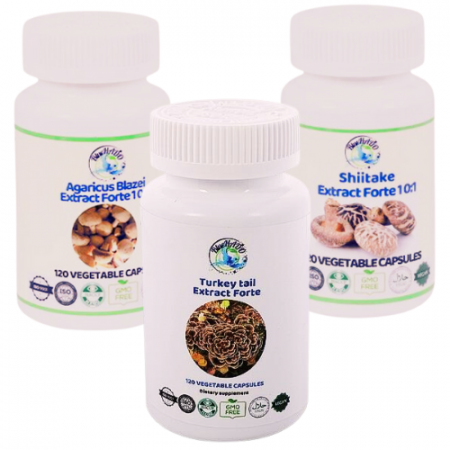 Remedii patologii sistemul osos - Natural Support for Rheumatism - Agaricus, Turkey Tail, and Shiitake for Reducing Inflammation and Strengthening Joints