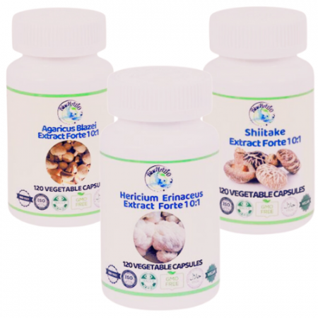 Suport Cancer Esofagian: 3 Ciuperci Medicinale BIO cu Extract Forte 10:1