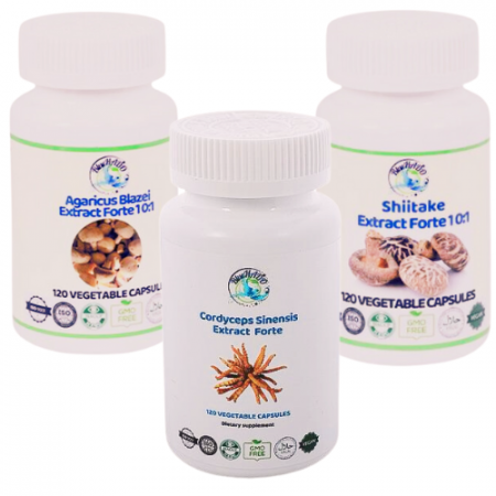 Suport Cancer Renal: 3 Ciuperci Medicinale BIO cu Extract Forte 10:1