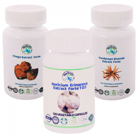 Remedii afectiuni - Supliment natural pentru Ulcer Gastroduodenal - Coama Leului, Chaga și Cordyceps pentru Sănătatea Digestivă