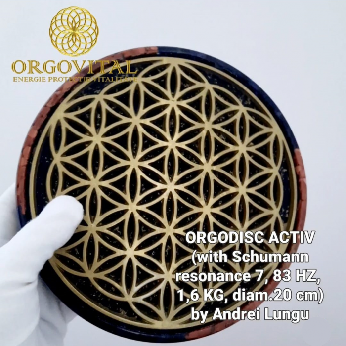 OrgoDisc – Sursa de Energie și Armonie pentru Spațiul Tău! [1]