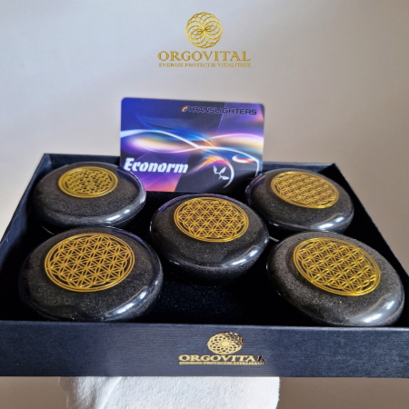 Dispozitiv OrgoECONORM – Protecție, siguranță și performanță avansată pentru tine și mașina ta [2]