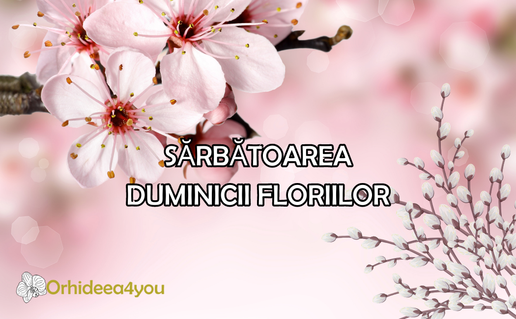 Sărbătoarea duminicii Floriilor, ce comemorează și ce flori să alegem