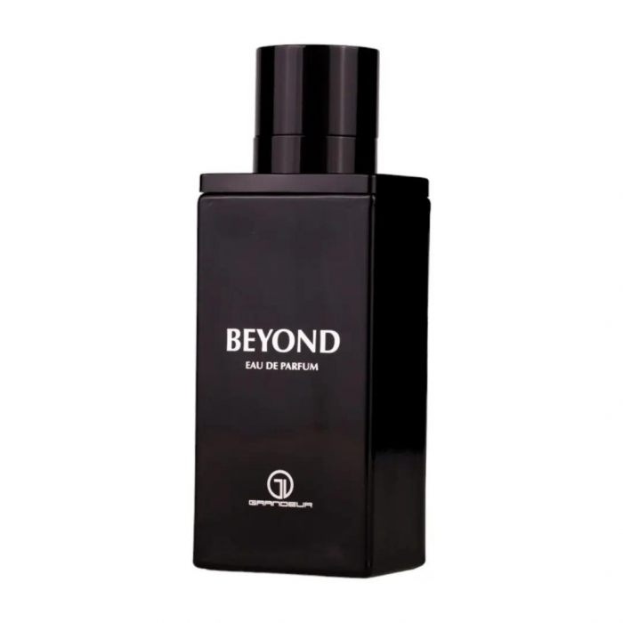 Beyond 100ml - Apa de Parfum, barbati [2]