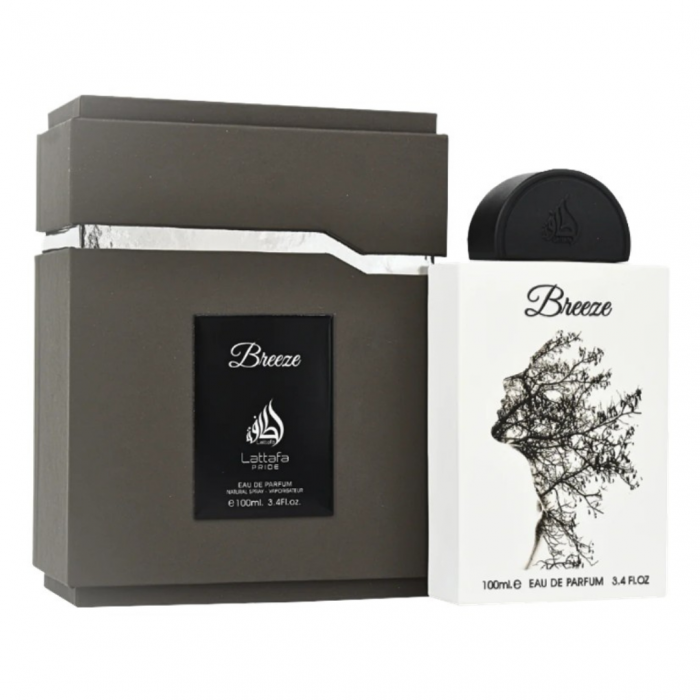 Breeze 100ml - Apa de Parfum, unisex [1]