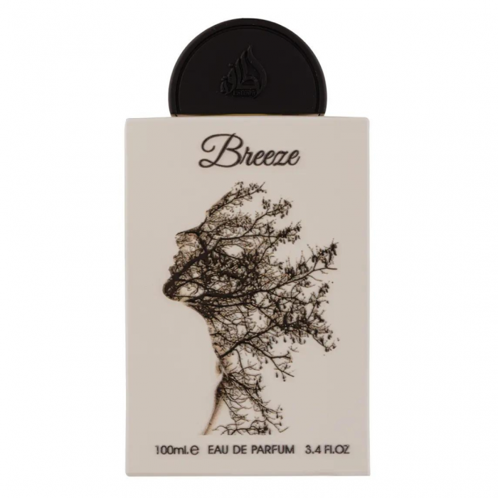 Breeze 100ml - Apa de Parfum, unisex [2]