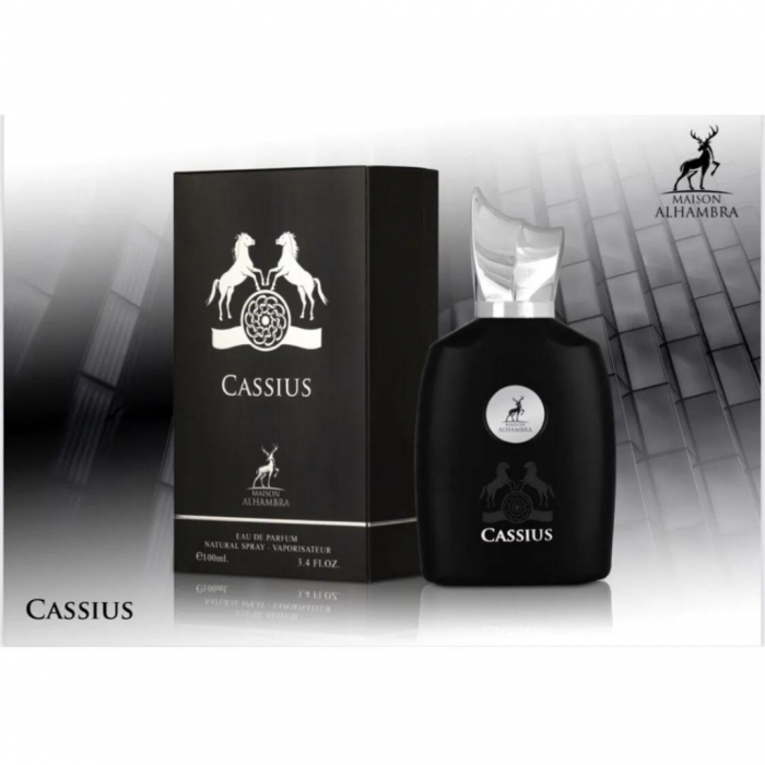 Cassius 100ml - Apa de Parfum, barbati [3]